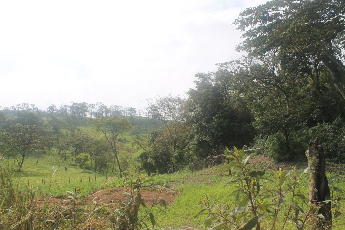 1415-has-en-venta-rancho-en-san-fernndo-chiapas12-34504