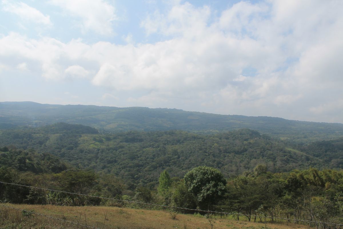 1415-has-en-venta-rancho-en-san-fernndo-chiapas8-34504