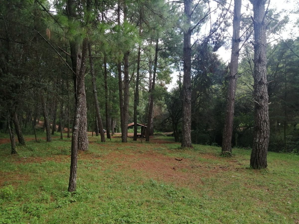 2-preciosos-terrenos-en-residencial-campestre-bosques-de-atecuaro2-13645