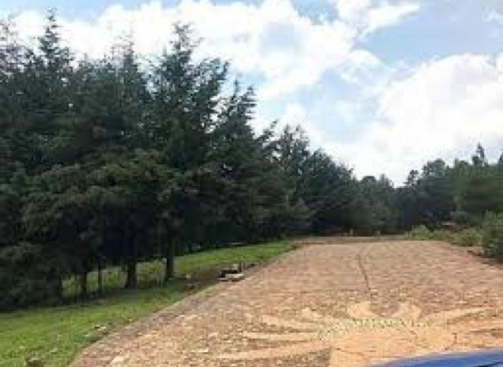 2-preciosos-terrenos-en-residencial-campestre-bosques-de-atecuaro7-13645