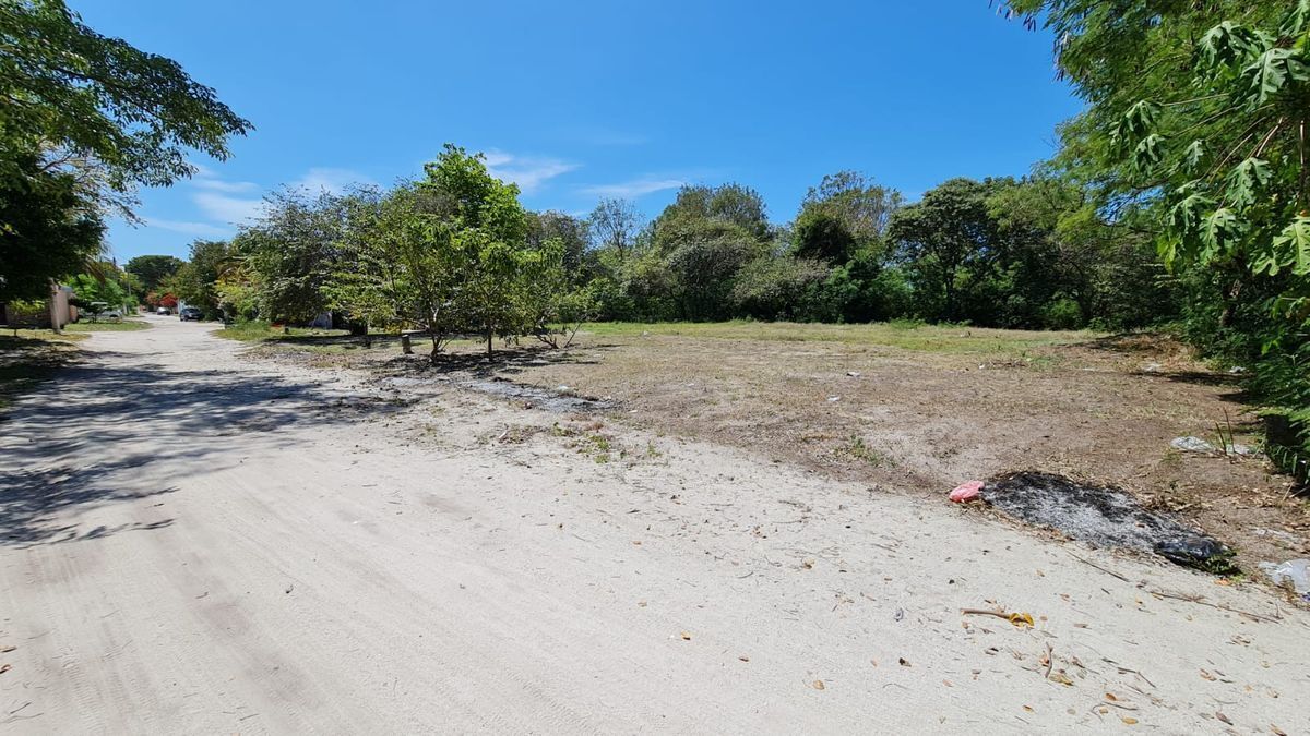 2 TERRENOS EN VENTA. ISLA AGUADA, CARMEN, CAMPECHE.