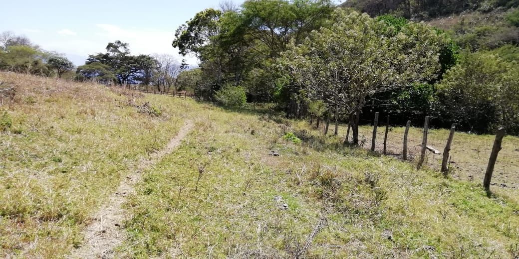 3316-has-en-venta-rancho-solo-dios-en-san-fernando-chiapas11-35043