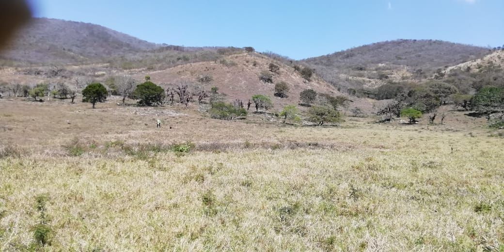 3316-has-en-venta-rancho-solo-dios-en-san-fernando-chiapas3-35043