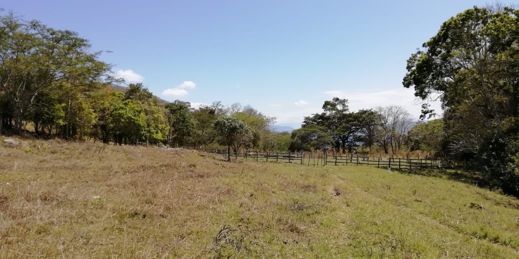 3316-has-en-venta-rancho-solo-dios-en-san-fernando-chiapas4-35043