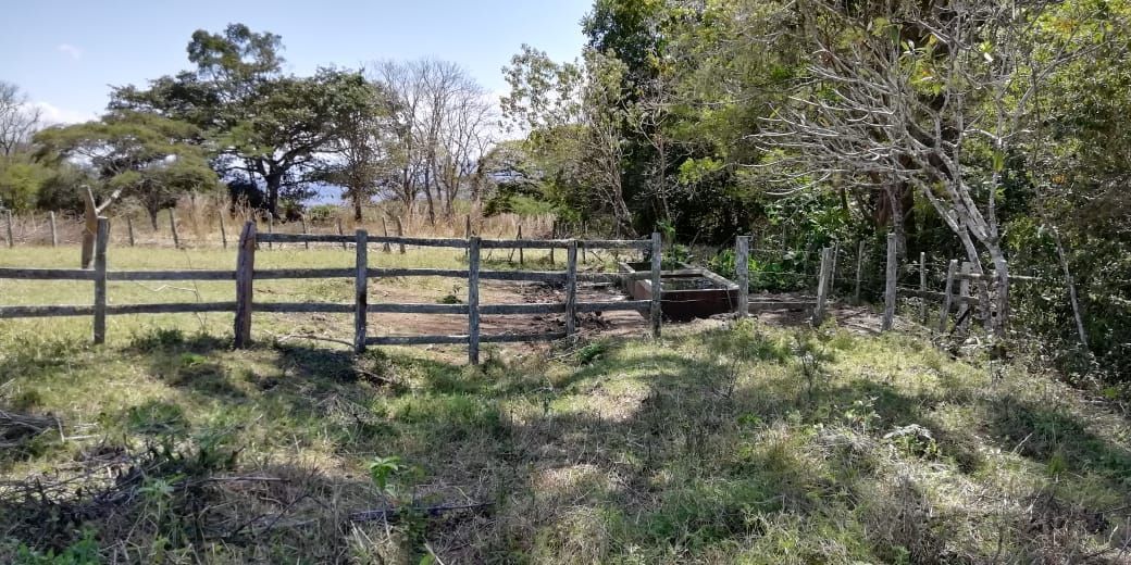 3316-has-en-venta-rancho-solo-dios-en-san-fernando-chiapas6-35043