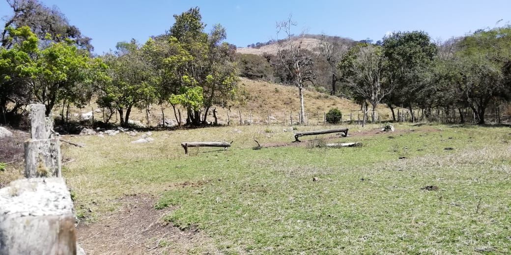 3316-has-en-venta-rancho-solo-dios-en-san-fernando-chiapas7-35043