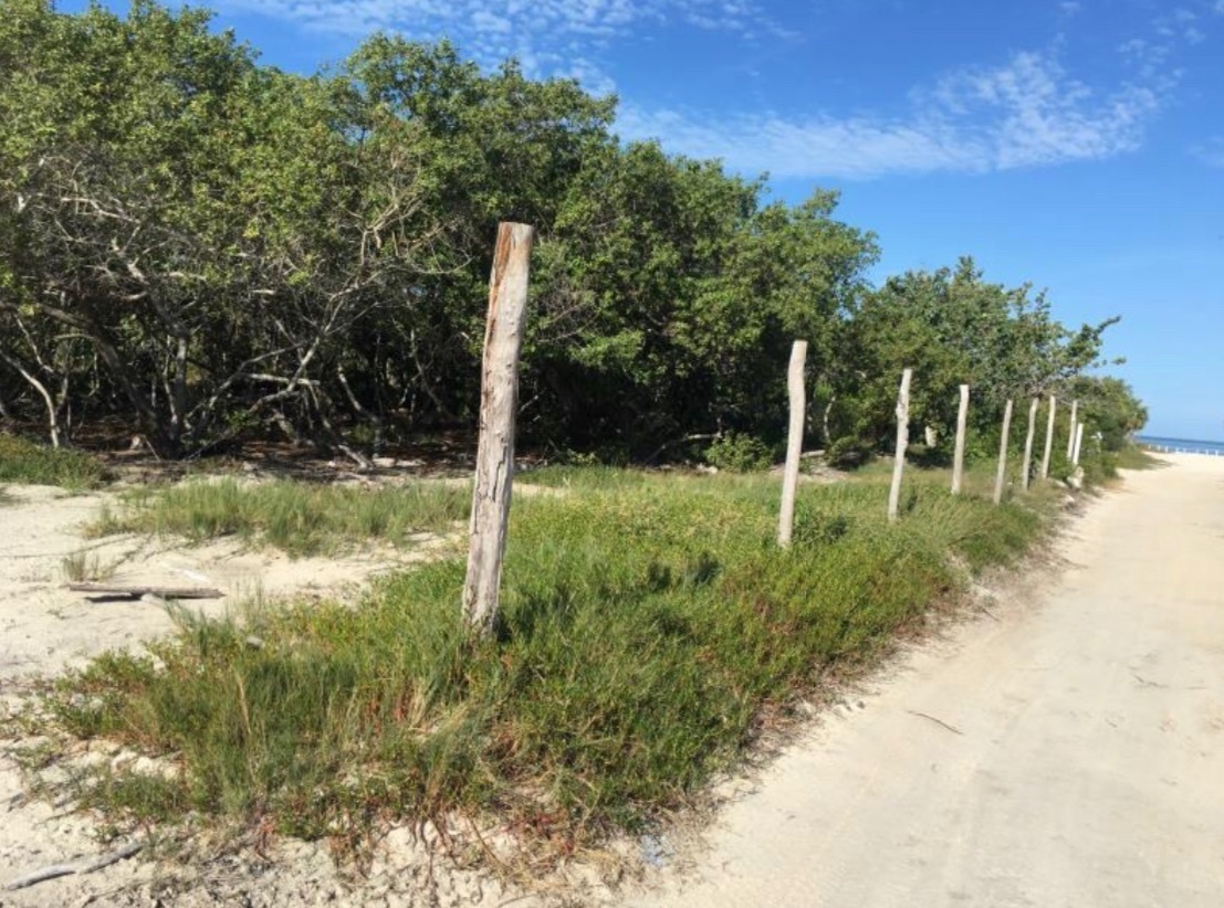 610m2-en-holbox-cerca-del-mar3-38120