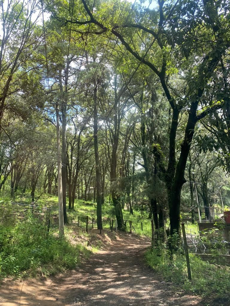 APROVECHE AMPLIO TERRENO PARA CABAÑA, CASA DE CAMPO.