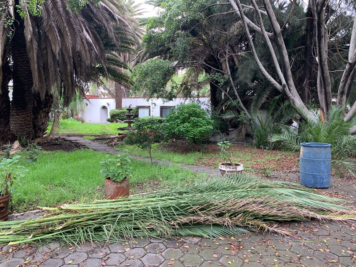 bodega-eduardo-molina-y-talismn--18263--m2-de-terreno5-25261