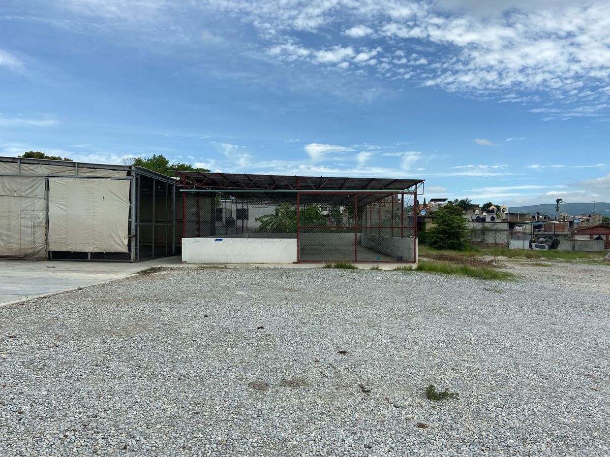 bodega-en-renta-de-lado-oriente-sur-de-la-ciudad1-19193