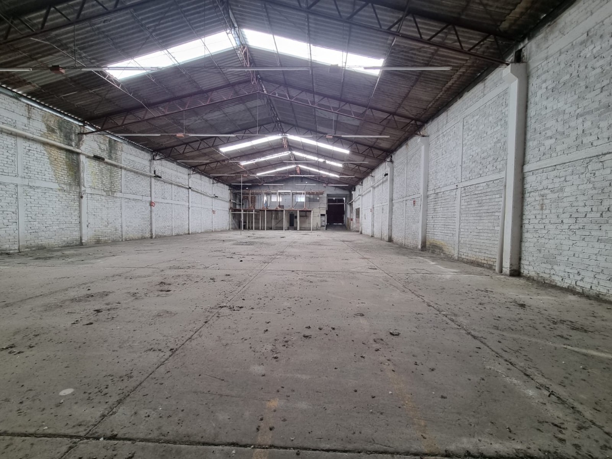 bodega-en-renta-en-guadalajara13-28506