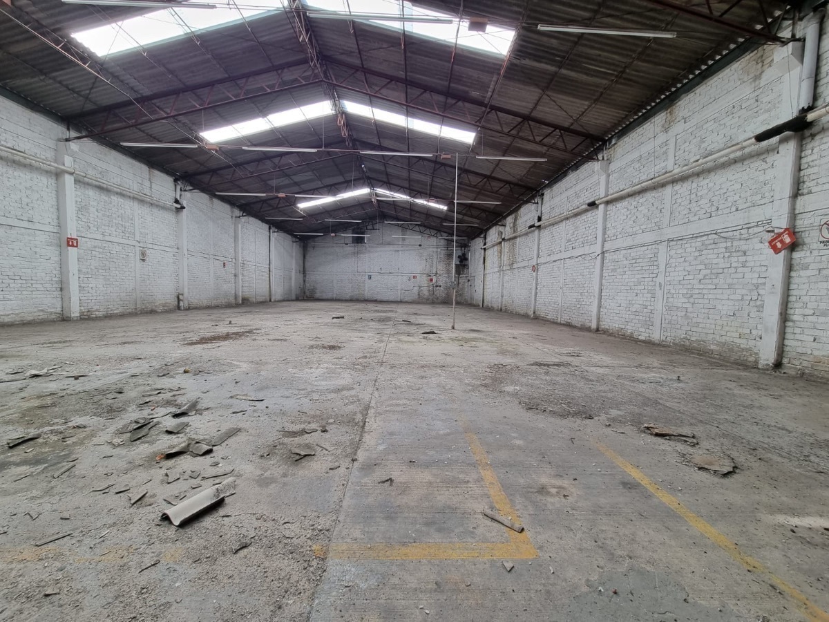 bodega-en-renta-en-guadalajara16-29354