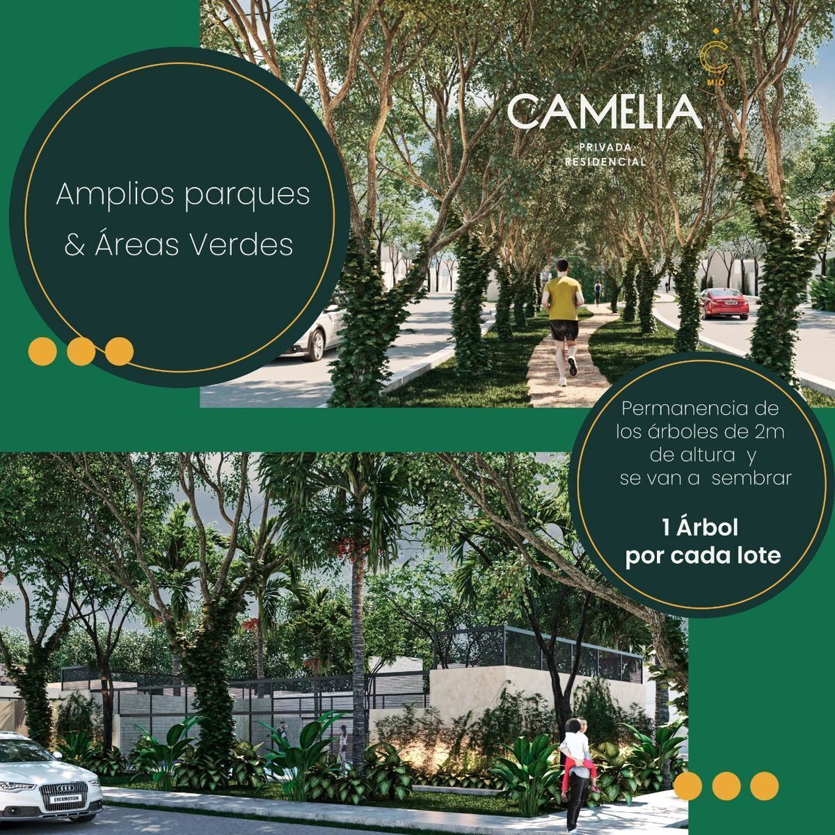 camelia-residencial-lotes-residenciales--merida-norte18-20954