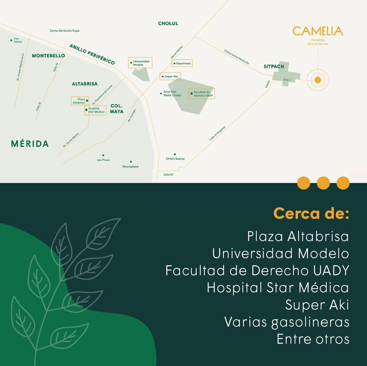 camelia-residencial-lotes-residenciales--merida-norte19-20954