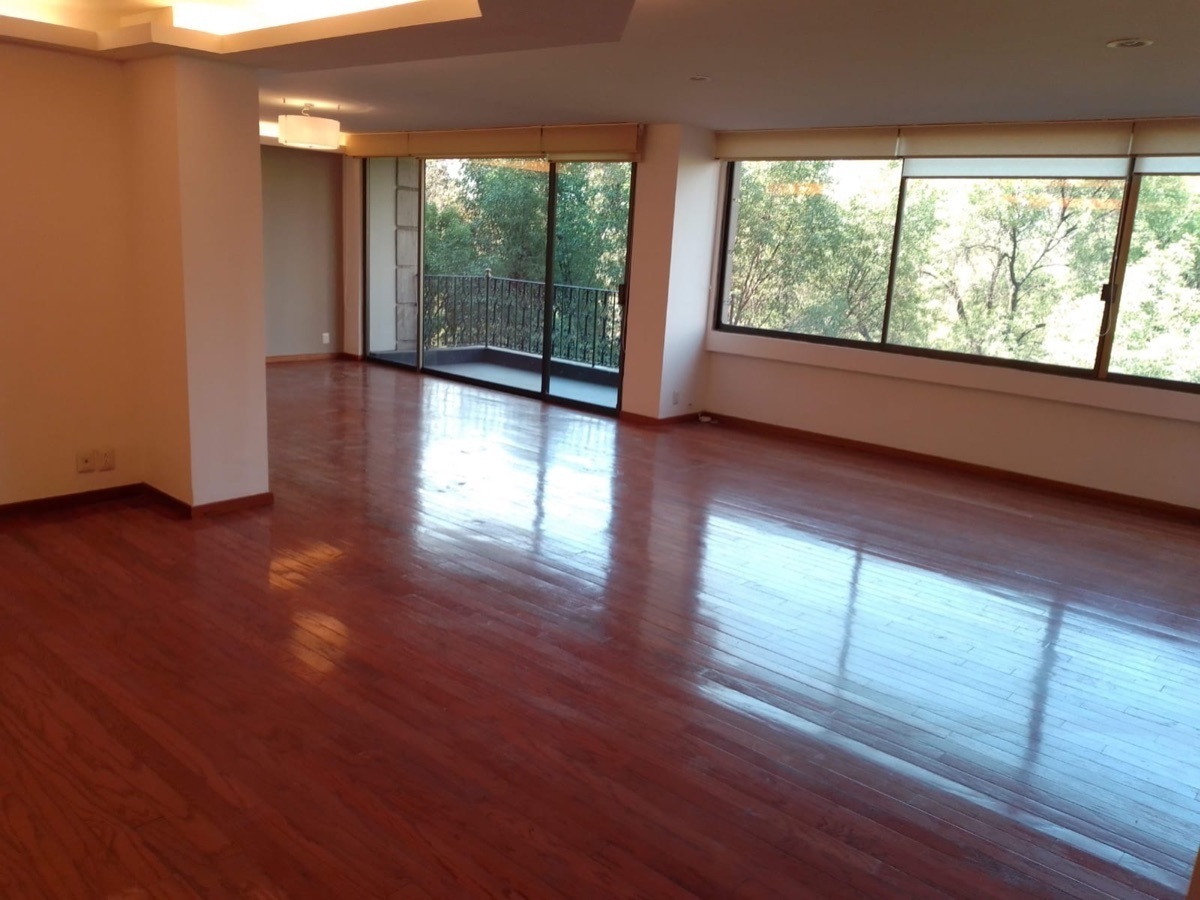 campos-eliseos-rentado--espectacular19-33984