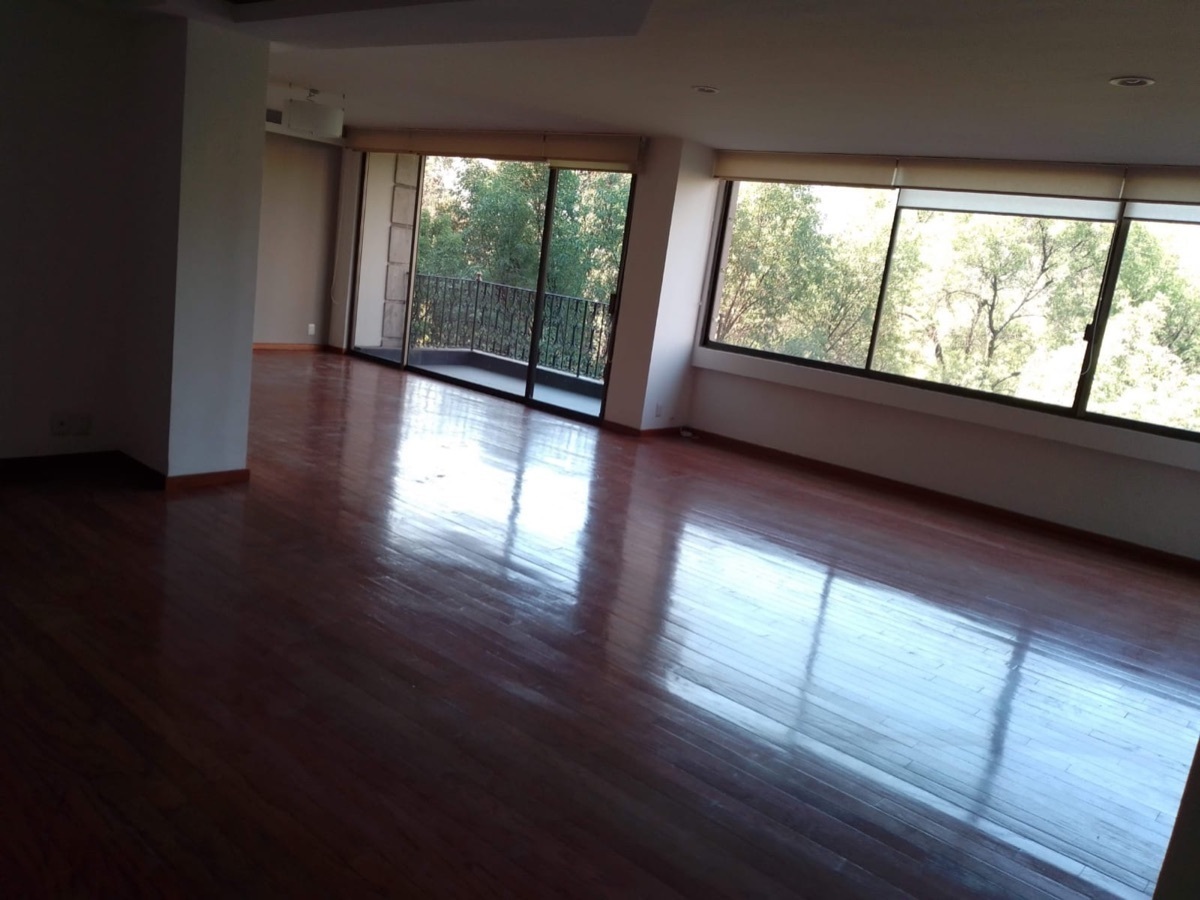 campos-eliseos-rentado--espectacular21-33984