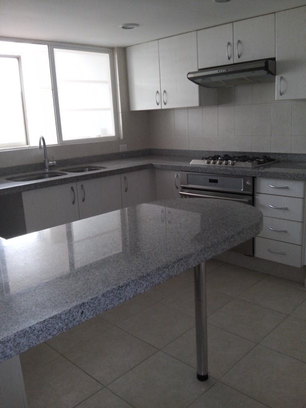 campos-eliseos-rentado--espectacular6-33984