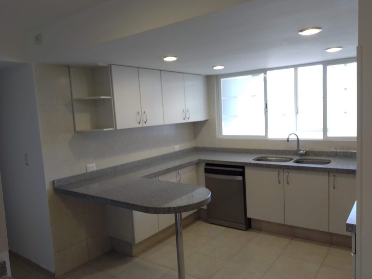 campos-eliseos-rentado--espectacular9-33984