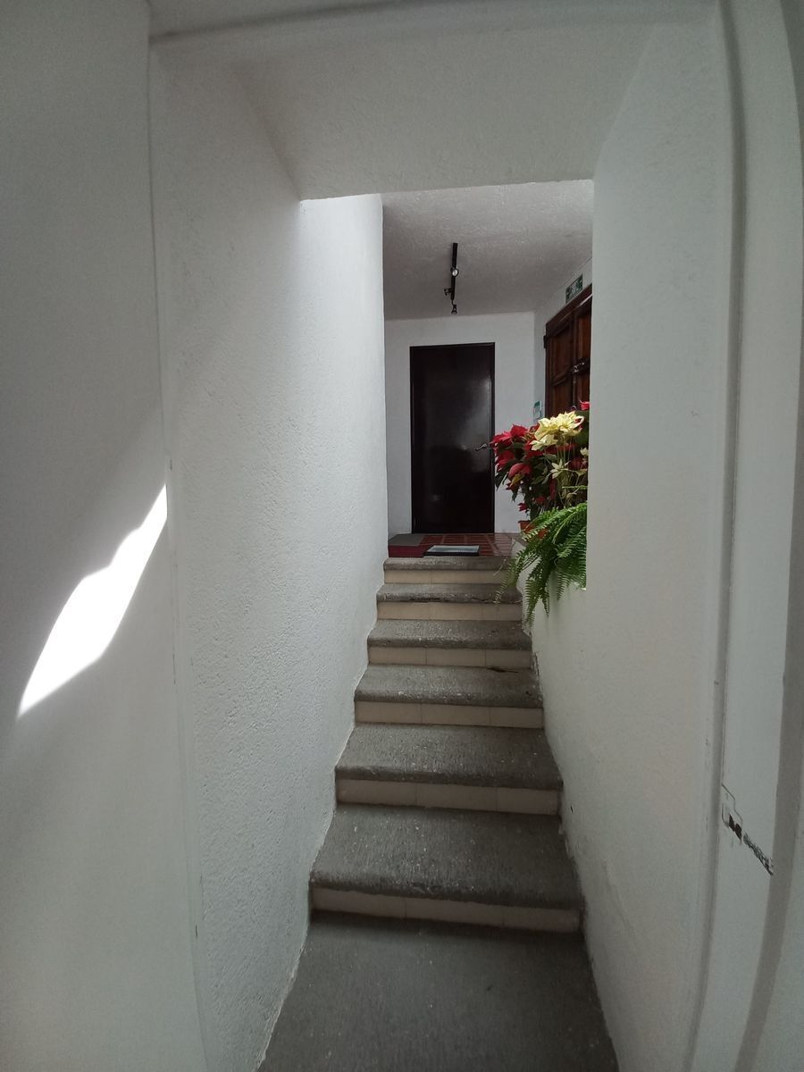 casa-av-palmira-cuernavaca12-17569