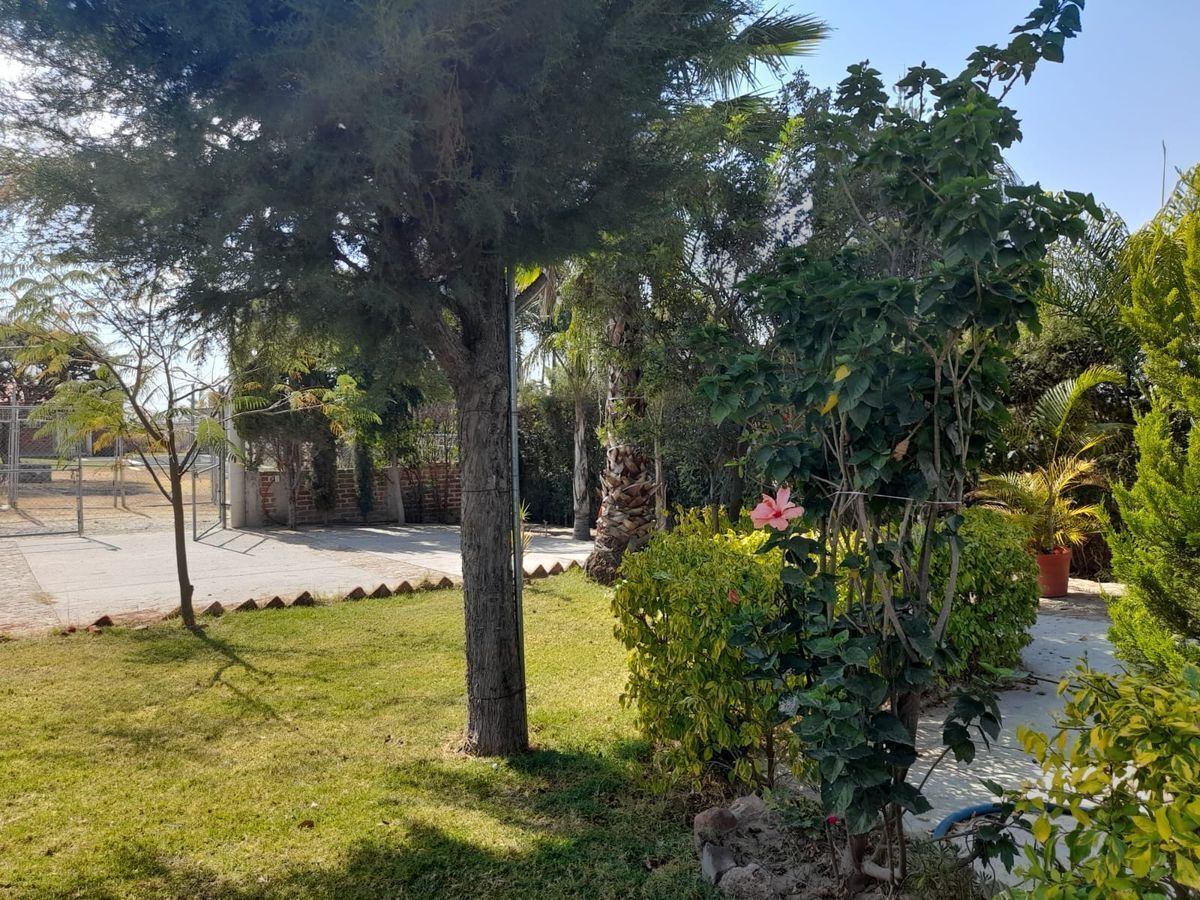 casa-con-terreno-en-venta-en-comanjilla-muy-cerca-de-la-carretera16-28714