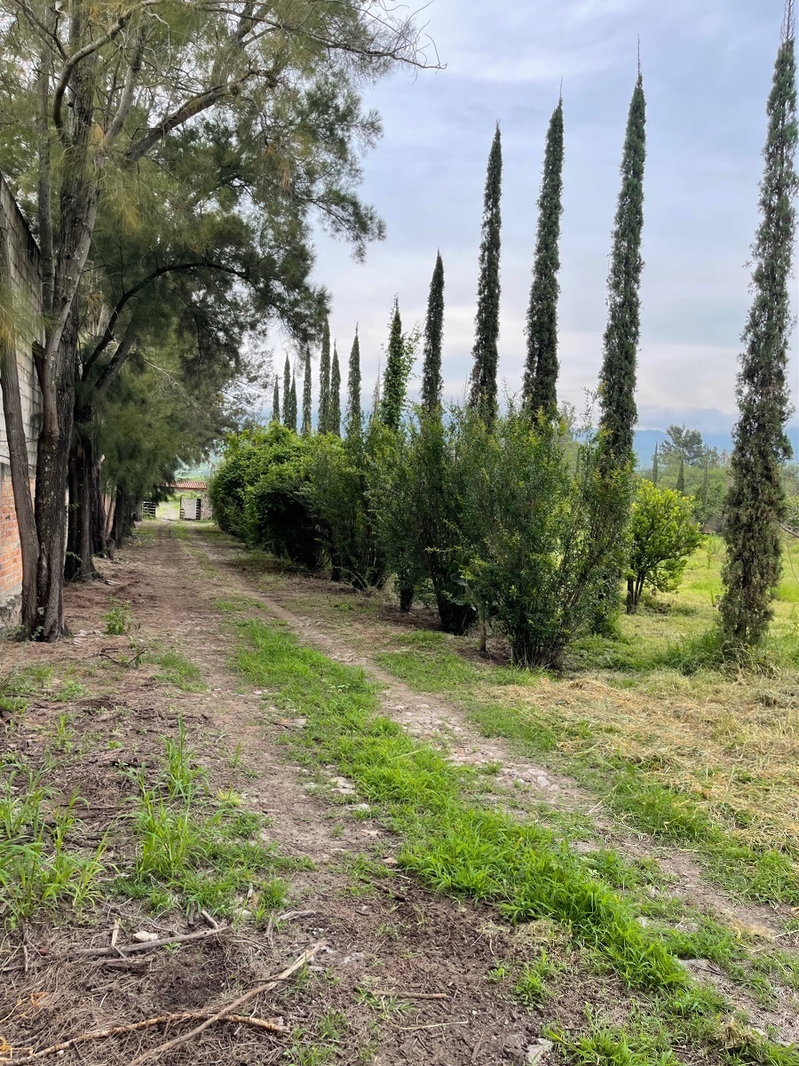 Casa de campo ixtlahuacan de los membrillos