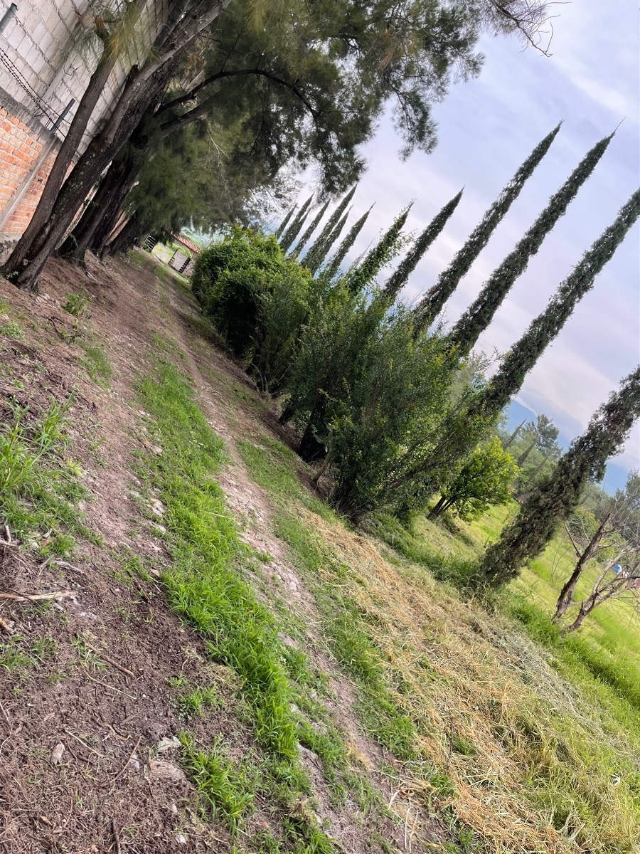 casa-de-campo-ixtlahuacan-de-los-membrillos17-22590