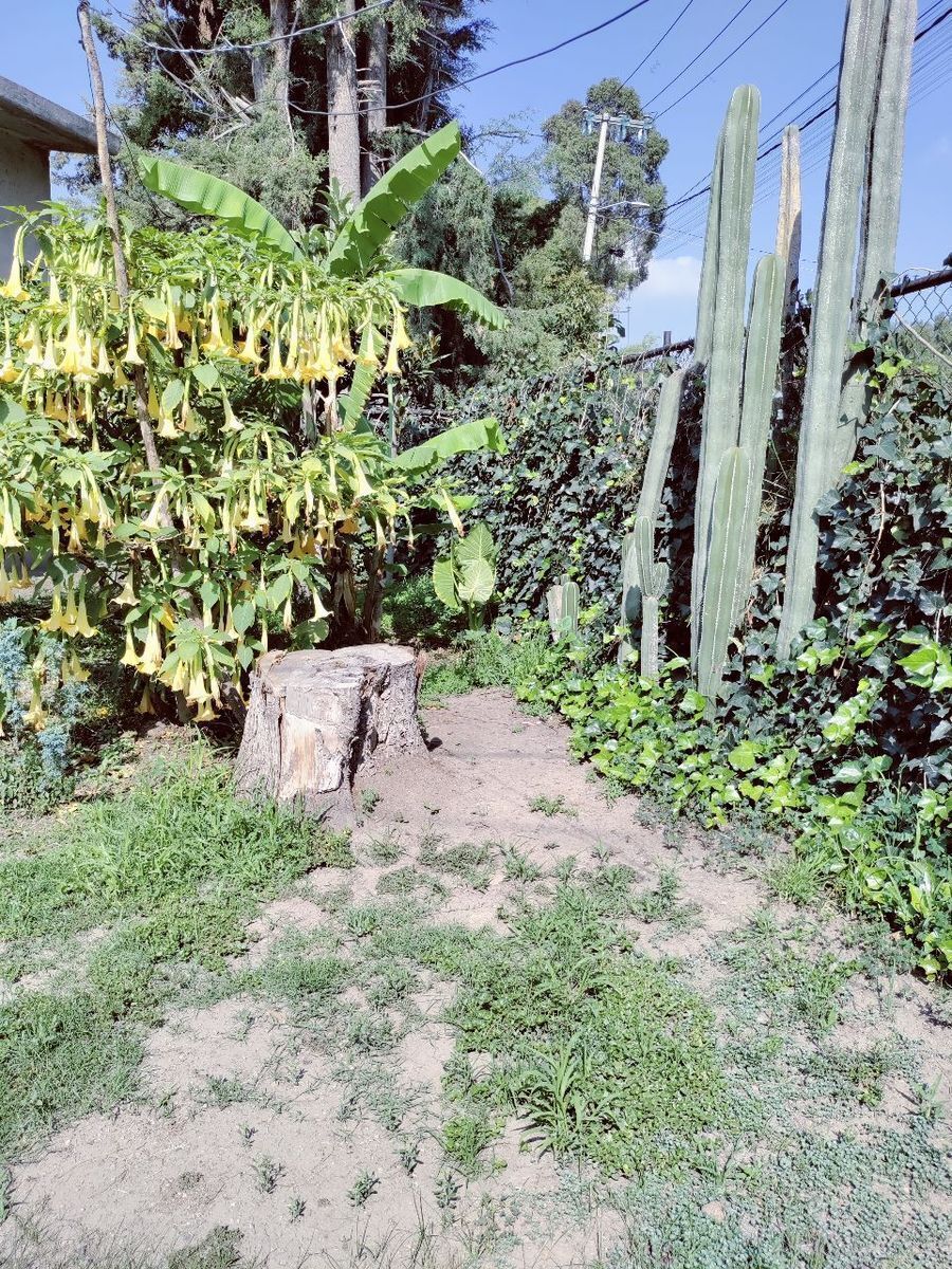 casa-en-obra-blanca-en-chiautla-estado-de-mxico6-22970