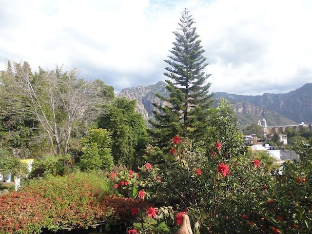 casa-en-renta-en-tepoztlan29-36843