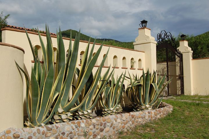 casa-en-venta--estancia-de-canal-en-san-miguel-de-allende23-13098