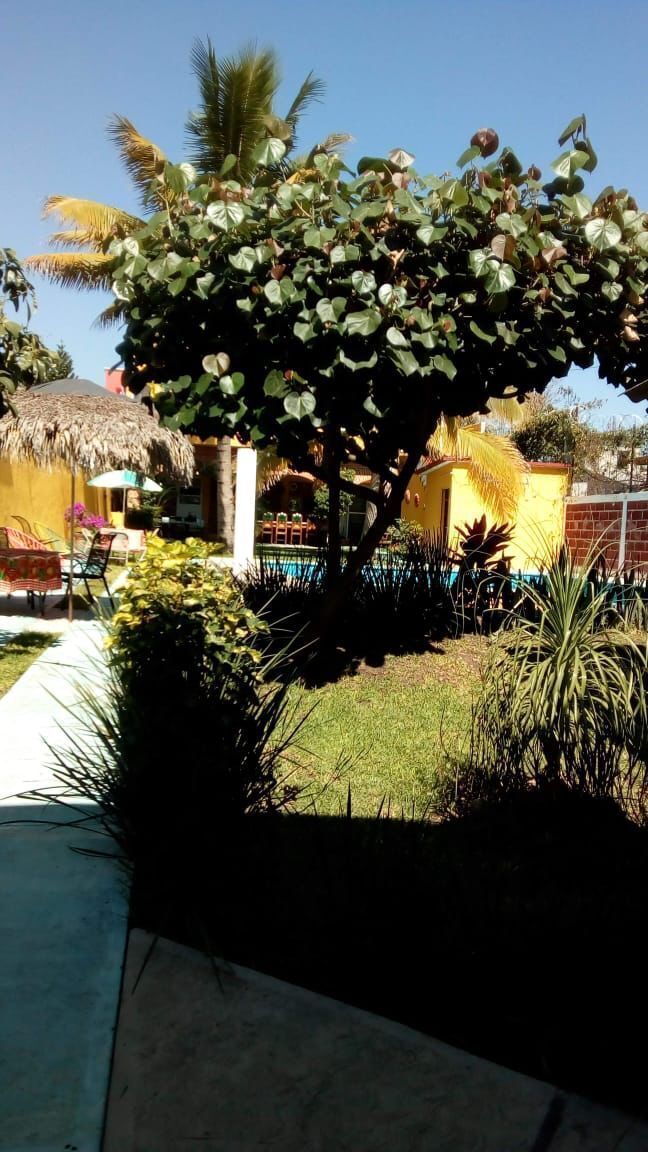 casa-en-venta-con-reas-verdes-y-alberca-en-morelos6-24494