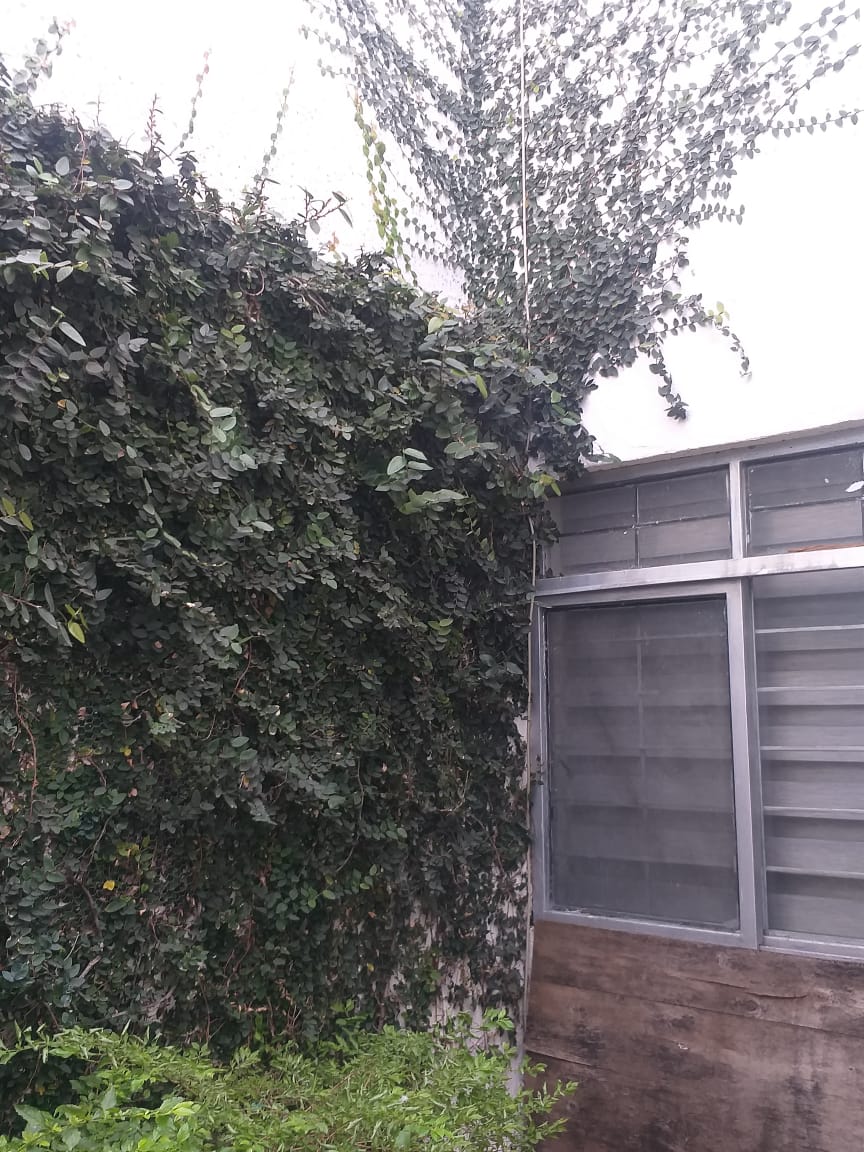 CASA EN VENTA EN JARDINES DE LA CRUZ GUADALAJARA JALISCO