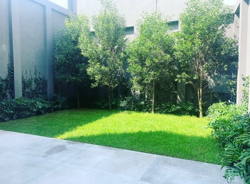 casa-en-venta-en-las-lomas-de-chapultepec6-13559