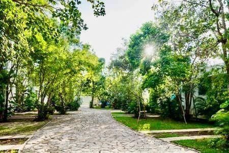 casa-en-venta-en-tulum--ideal-para-inversion-de-airbnb18-16013