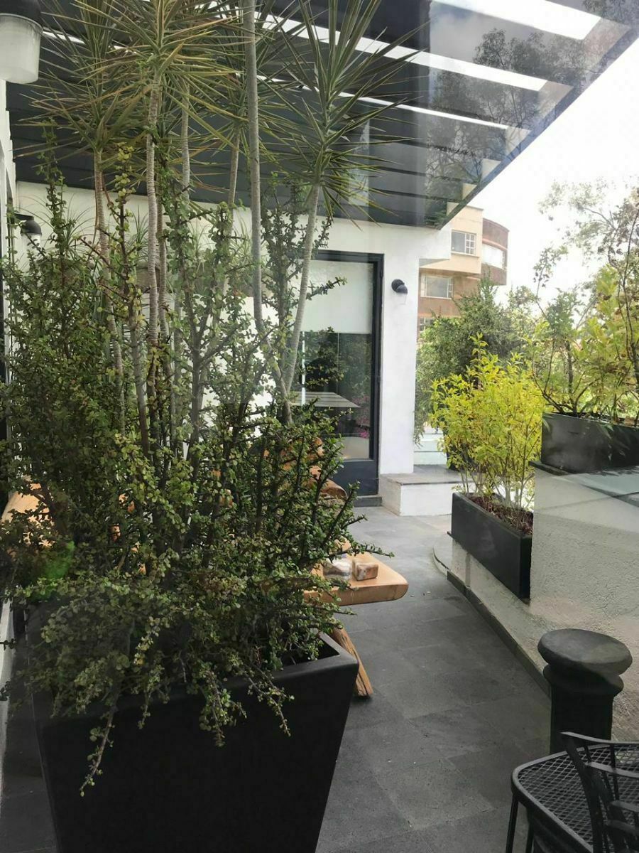 casa-en-venta-lomas-de-chapultepec30-36853