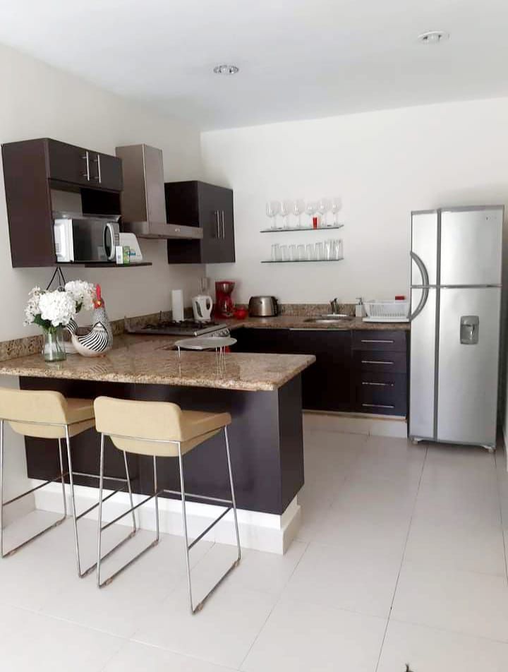 departamento--en-renta-en-palmeiras--2-rec-planta-baja--amueblado10-26916