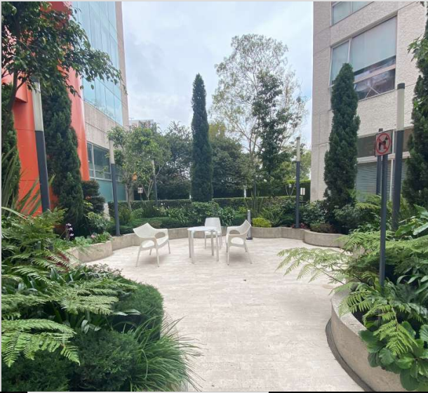 departamento-amueblado-en-renta-la-cite-santa-fe-m2d259817-22216