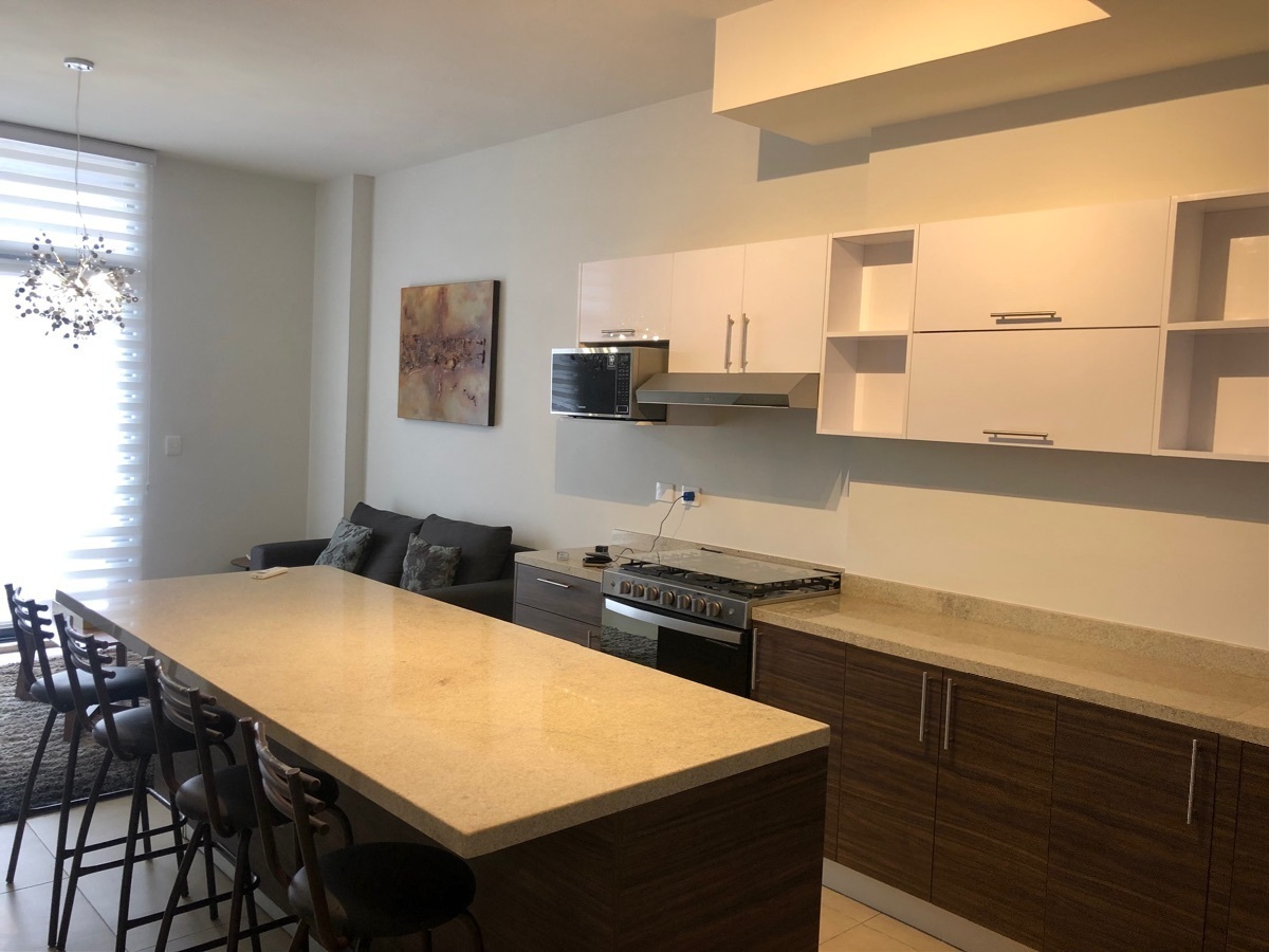 departamento-en-renta-en-amo-living-mitras-centro-monterrey-nuevo-len2-13820