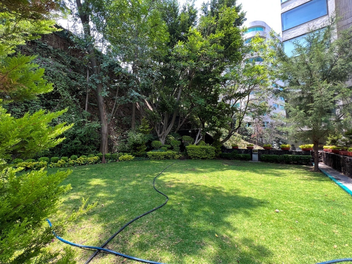 departamento-en-renta-palmas-corinto-lomas-de-chapultepec-paseo-de-las-palmas12-35122