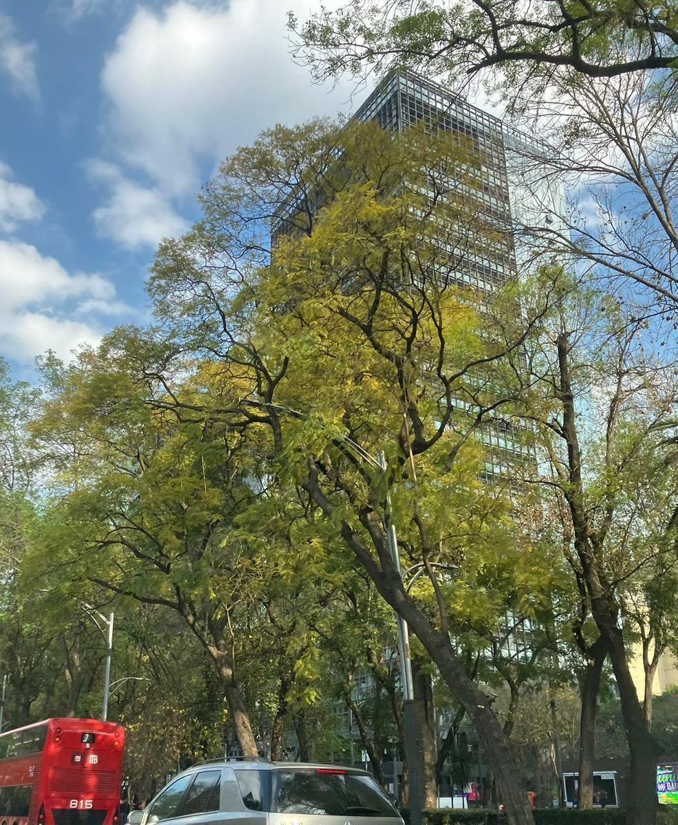 departamento-en-renta-sobre-reforma-col-juarez-alc-cuauhtmoc-cdmx22-33019