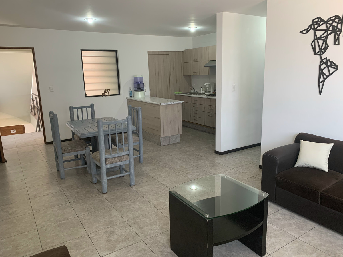 departamento-en-renta-sur-8a4-33287