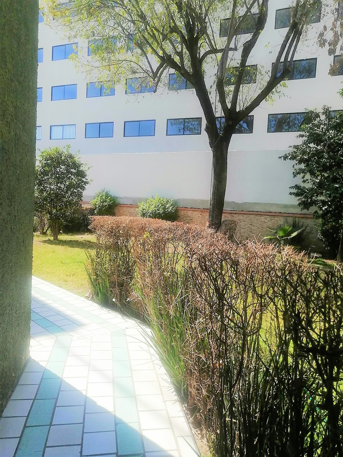 departamento-en-venta-col-la-perla-guadalajara-jalisco8-20987