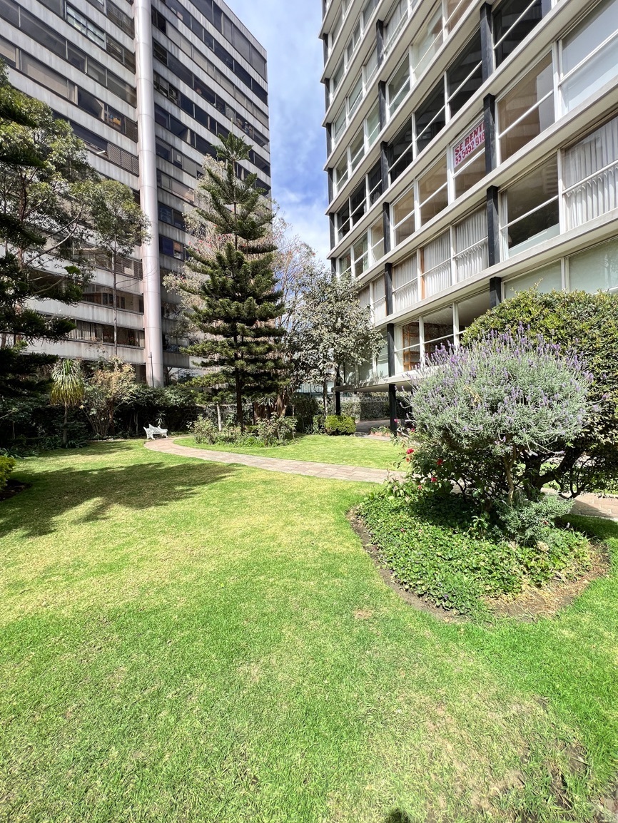 departamento-en-venta-paseo-de-las-palmas-lomas-de-chapultepec-3-rec-iluminada2-31935