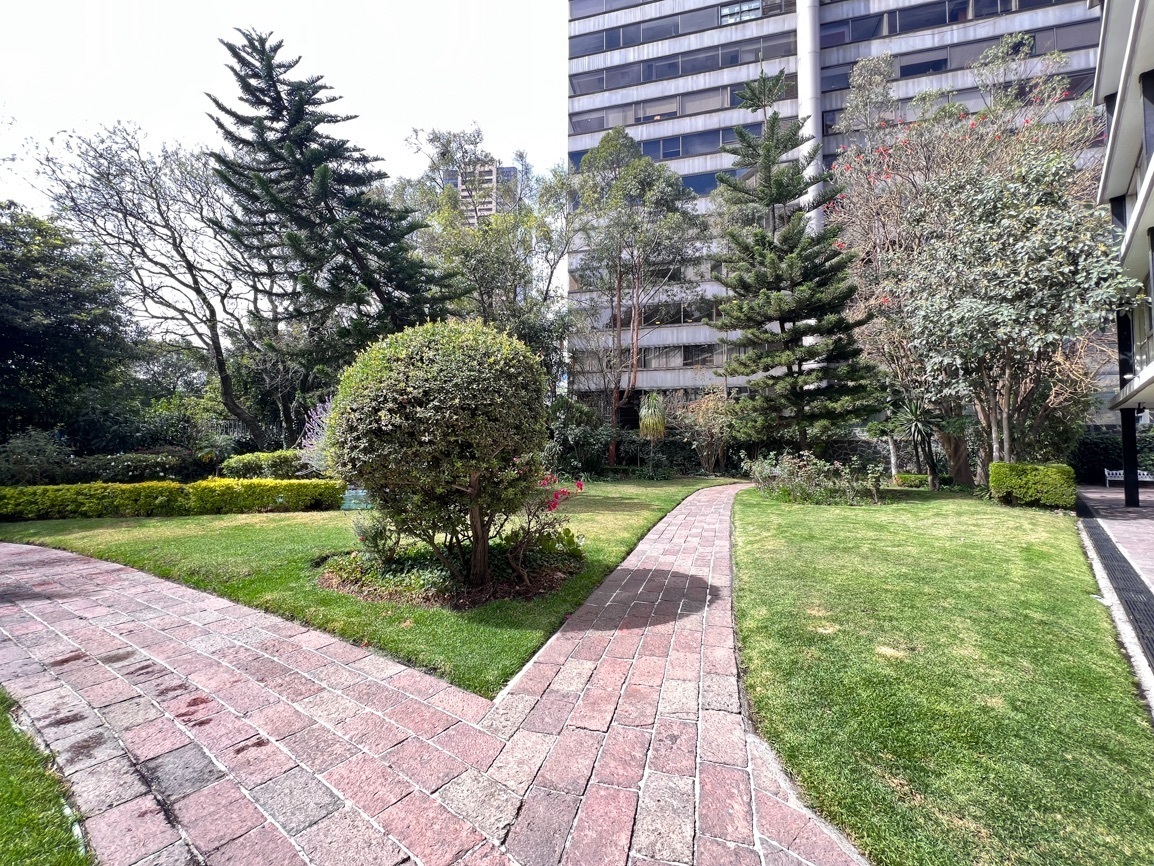 departamento-en-venta-paseo-de-las-palmas-lomas-de-chapultepec-3-rec-iluminada25-31935