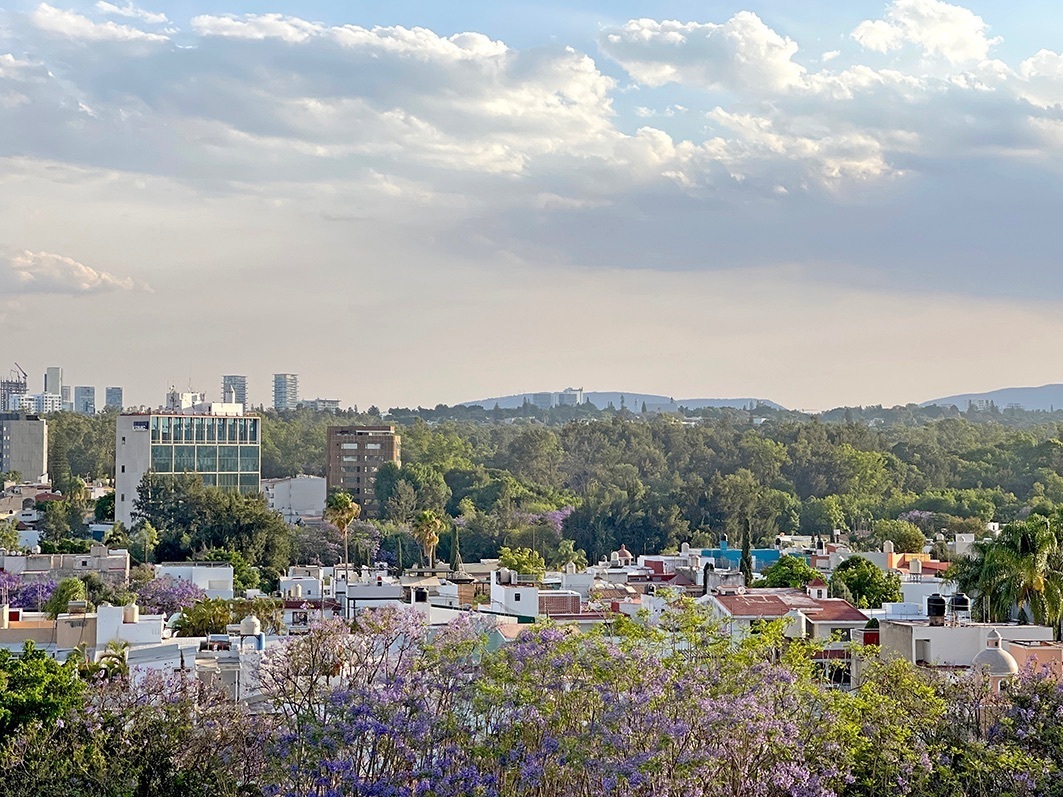 departamento-nuevo-en-renta-en-dolmen-americas1-32019