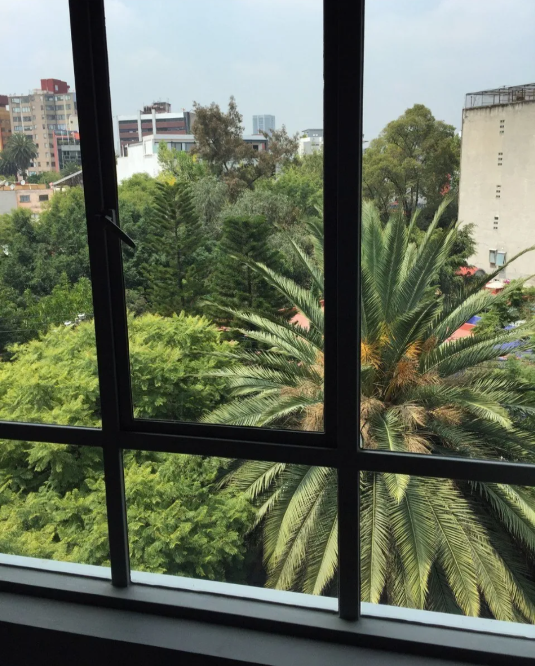 departamento-ph-en-venta-amsterdam-condesa-cuauhtmoc3-20258