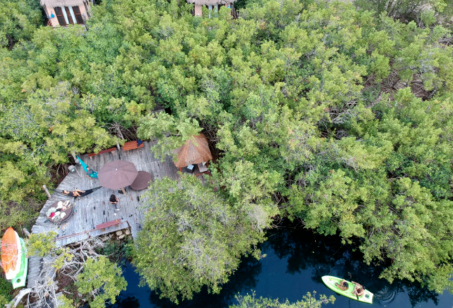 ecohotel-en-tulum-con-cenote-y-laguna21-30655