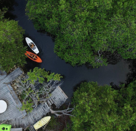 ecohotel-en-tulum-con-cenote-y-laguna5-30655