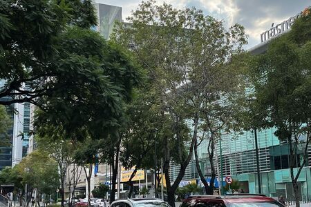 edificio-en-venta-en-chimalistac-lvaro-obregn-cdmx17-24009