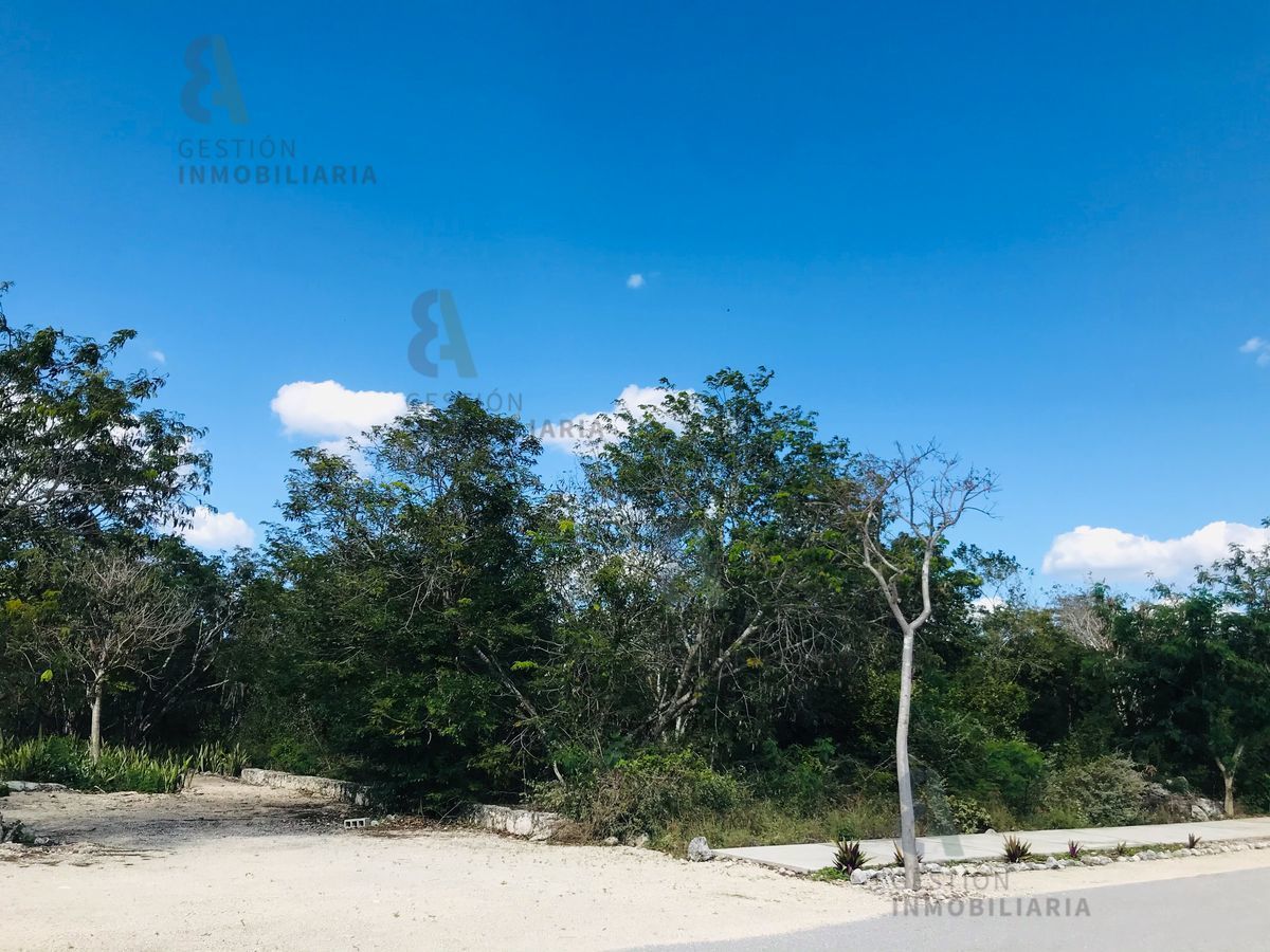 en-venta-terreno-en-privada-dzidzilha--mrida-yucatn-ctv916-28848