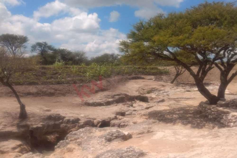 espectacular-terreno-campestre-en-venta-banda-de-oaxaca-en-san-miguel-de-allend10-13143